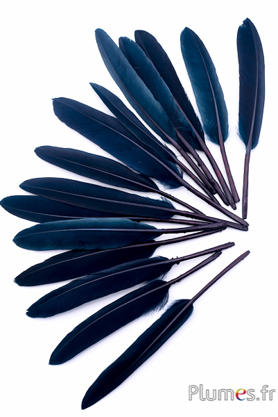 Oie Lame - 10-15 cm - pétrole-bleu nuit